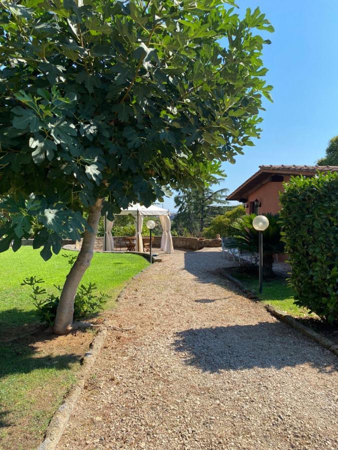 ローマ La Casa Di Irene Nel Golf Clubヴィラ エクステリア 写真