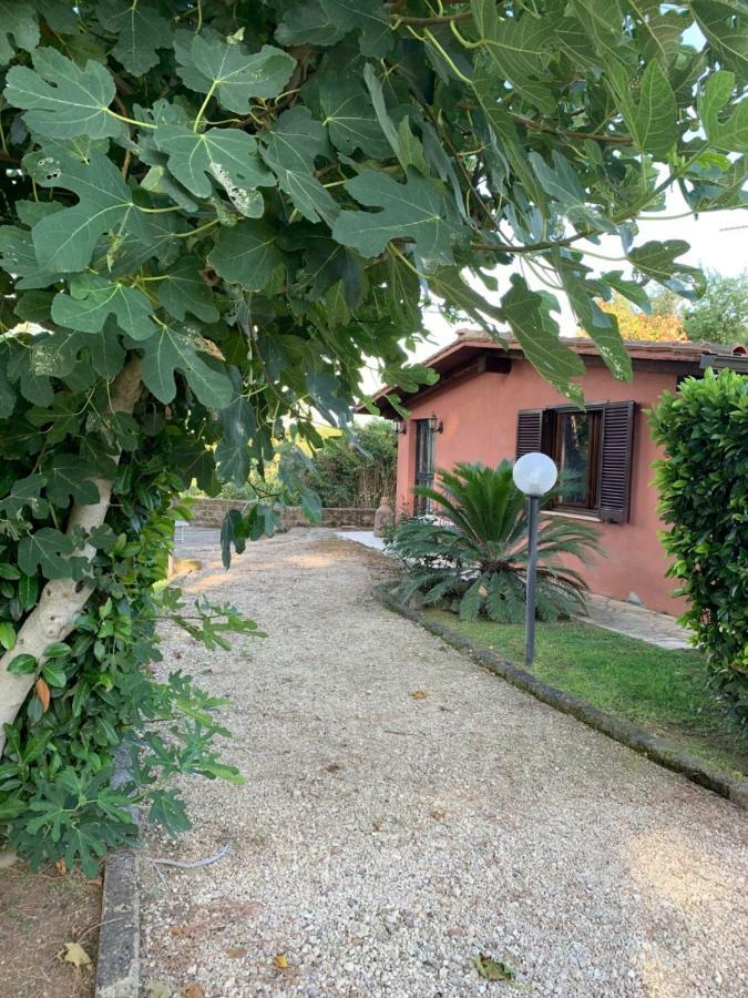 ローマ La Casa Di Irene Nel Golf Clubヴィラ エクステリア 写真